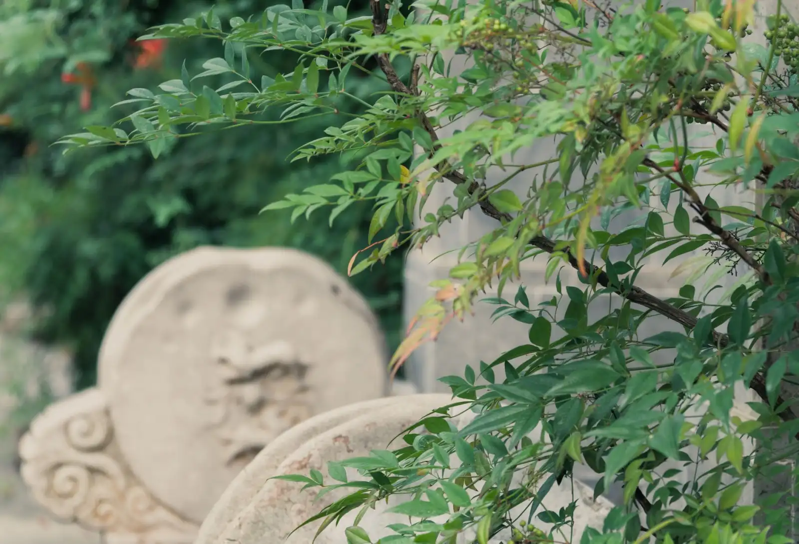 西藏格拉梅朵商贸服务产品线解析：天路本草系列品类与供应优势