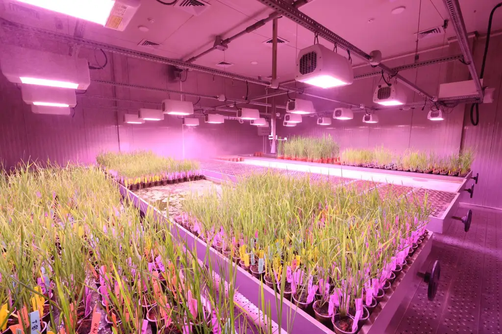 西藏商贸服务行业数字化转型路径与实践应用分析