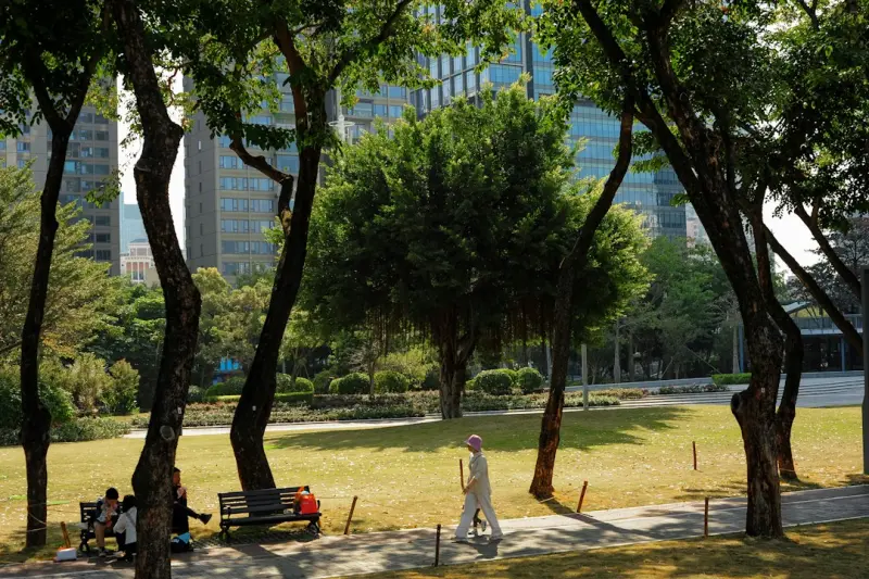 西藏格拉梅朵天路本草系列土特产品质对比与选购建议